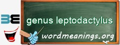 WordMeaning blackboard for genus leptodactylus